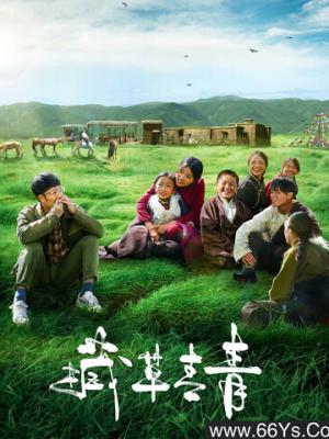 第七次日落 电影封面